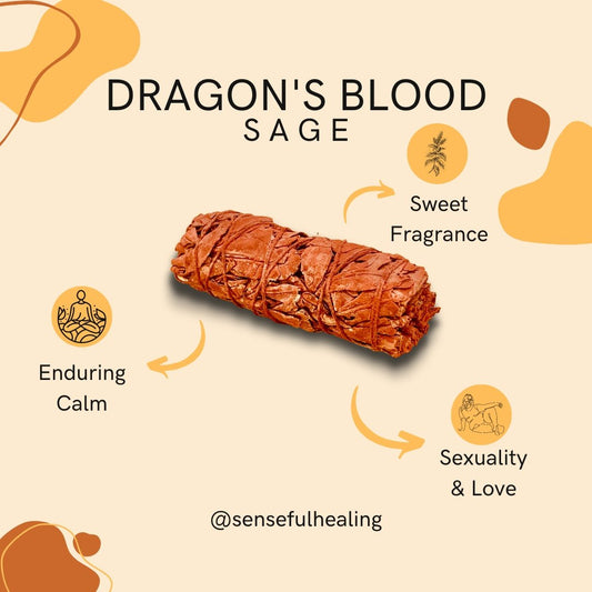Sage Aroma Incense with Health Benefits 1ct | Item no.: 3478-R