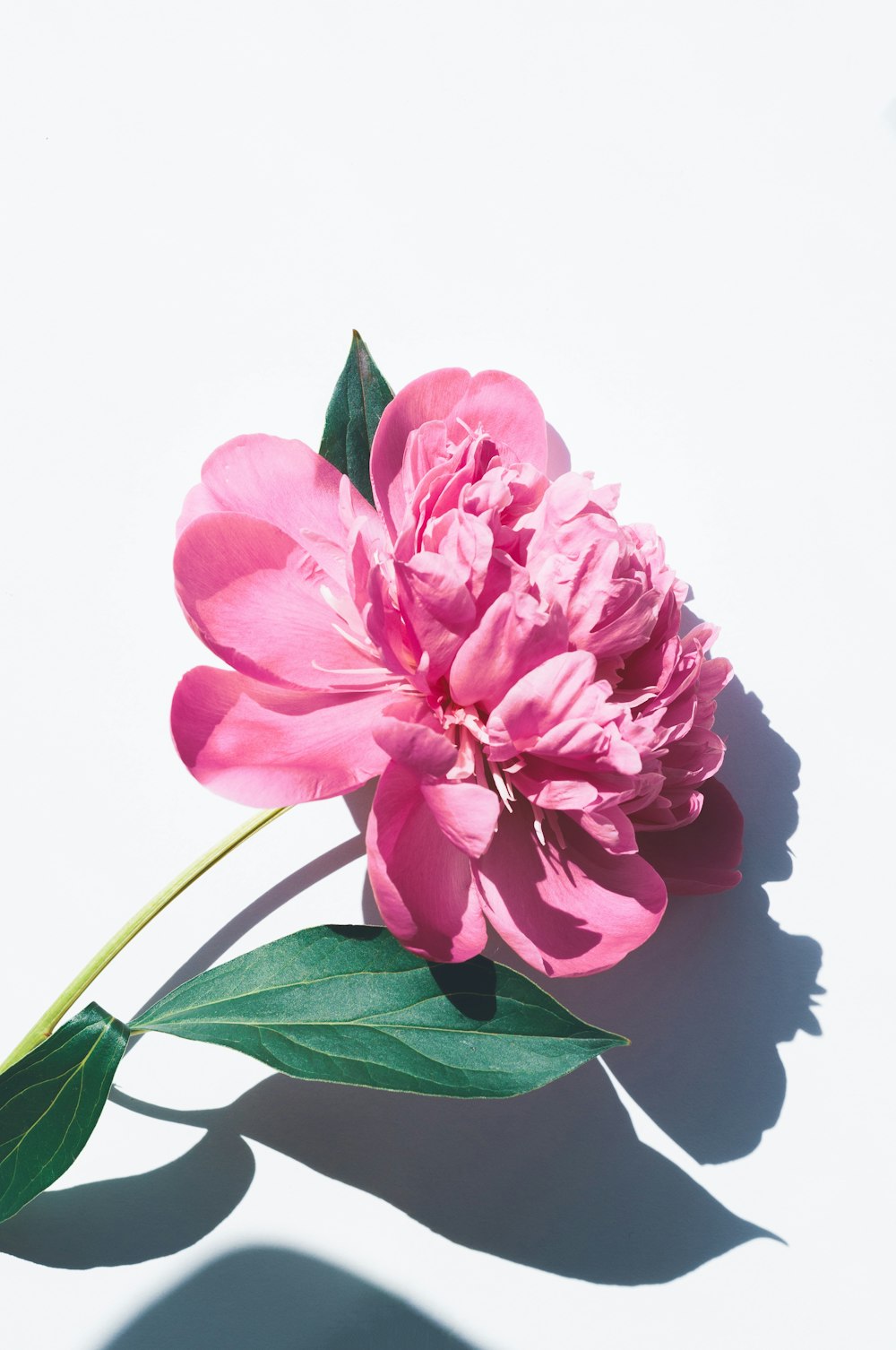 Airis Crystal 15K Puffs Disposable Vape - Clear Blue (Unflavored)