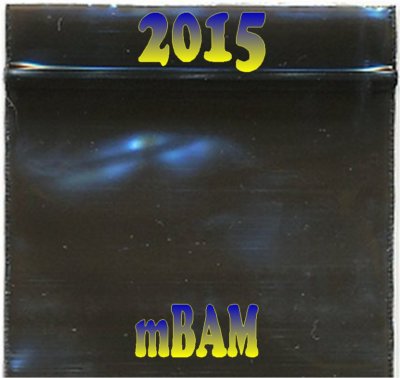 Apple Zip Bag 2015 Black 100ct | Item no.: 2725