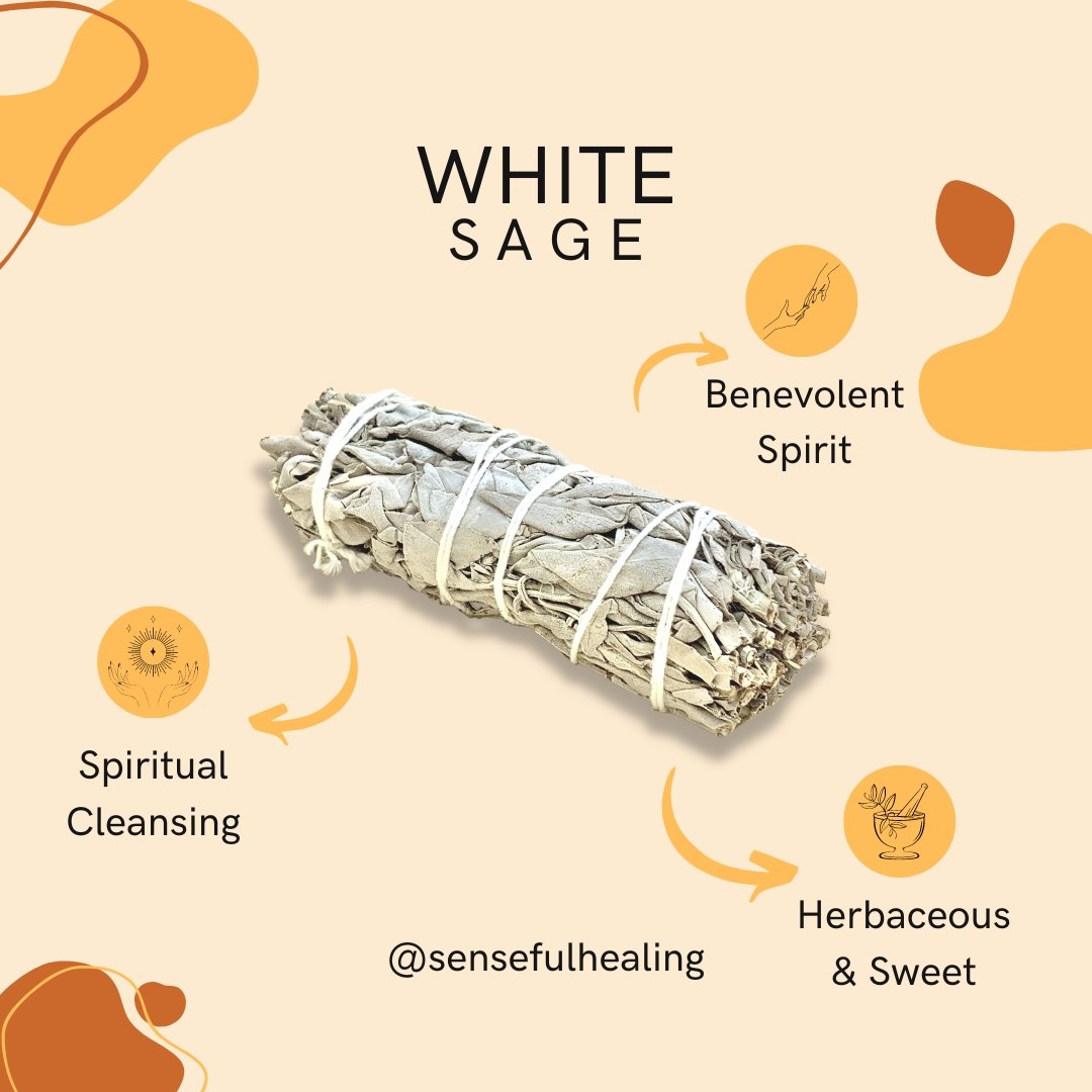 White Sage Aroma Incense with Health Benefits 1ct | Item no.: 3478-W