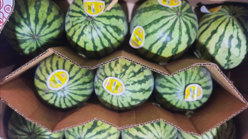 Fenmen Watermelon 24pcs